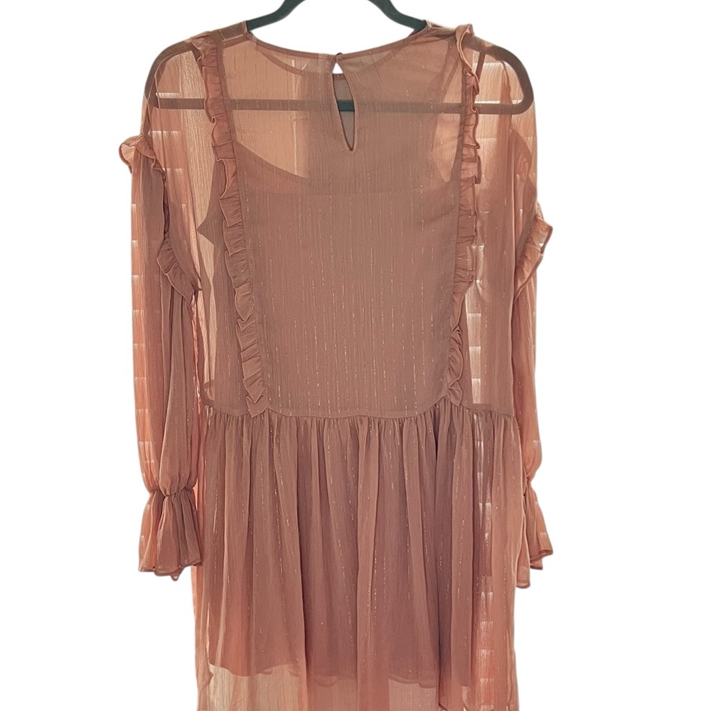 Zara • Chiffon Ruffle Mini Dress - Picture 5 of 5